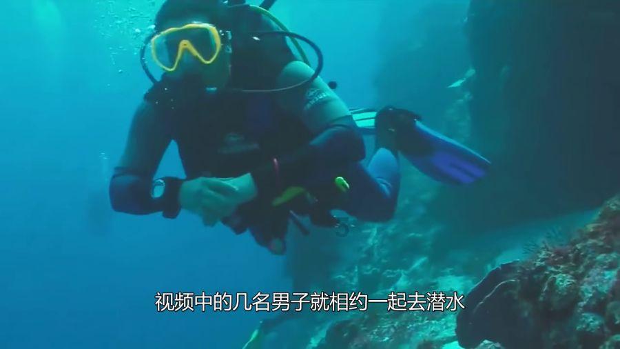 嘉日单词